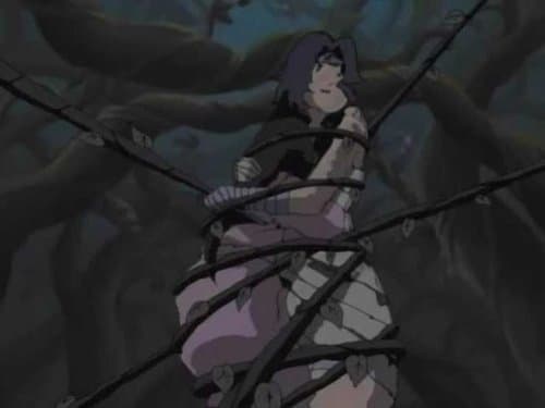 Missão Super-Secreta de Kurenai: A Promessa Com o Terceiro...