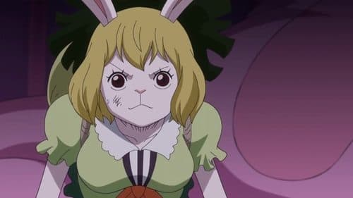 A Imperatriz Vira de Lado! A Missão de Resgate do Brook!