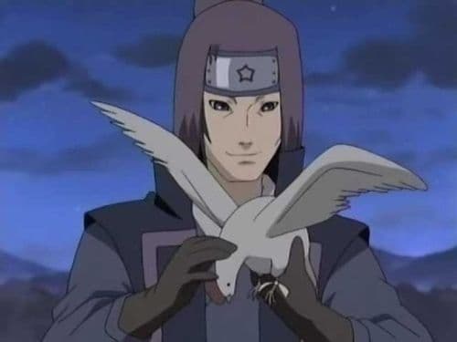 Jutsu Oculto! O Preço da Arte Ninja: Kujaku
