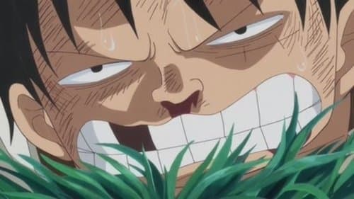 Eu Vou Esperar Aqui! Luffy vs. o Exército Furioso!